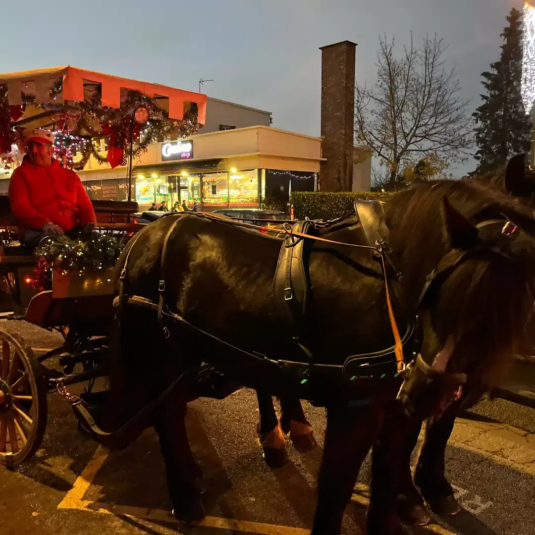Marché de Noël image 2